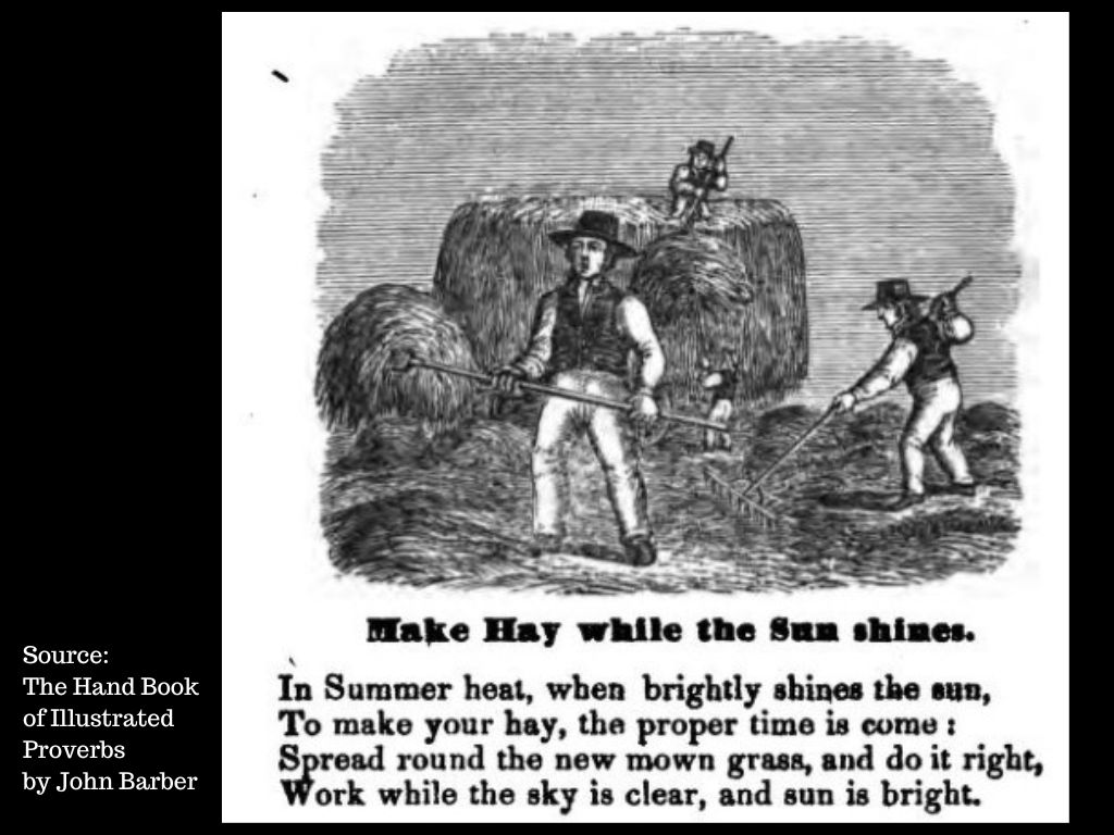 Make Hay While the Sun Shines Engraving from The Hand Book of Illustrated Proverbs   @FanningSparks