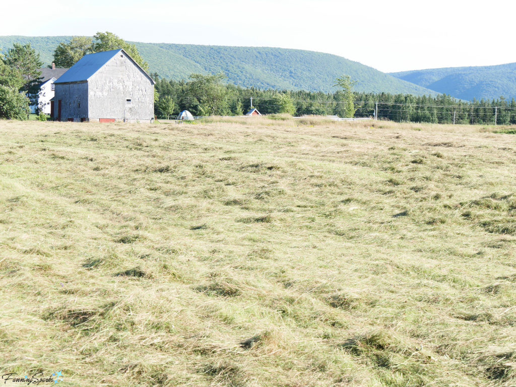 Mown Grass on Farm in Margaree Nova Scotia   @FanningSparks