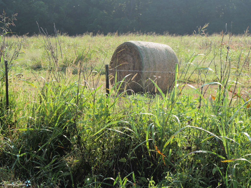 Round Hay Bale in Early Morning Light   @FanningSparks