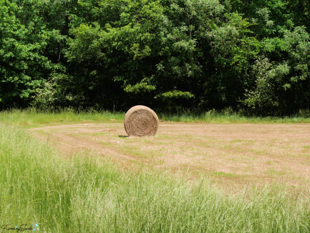 Single Round Bale on Farm Field in Georgia 1   @FanningSparks