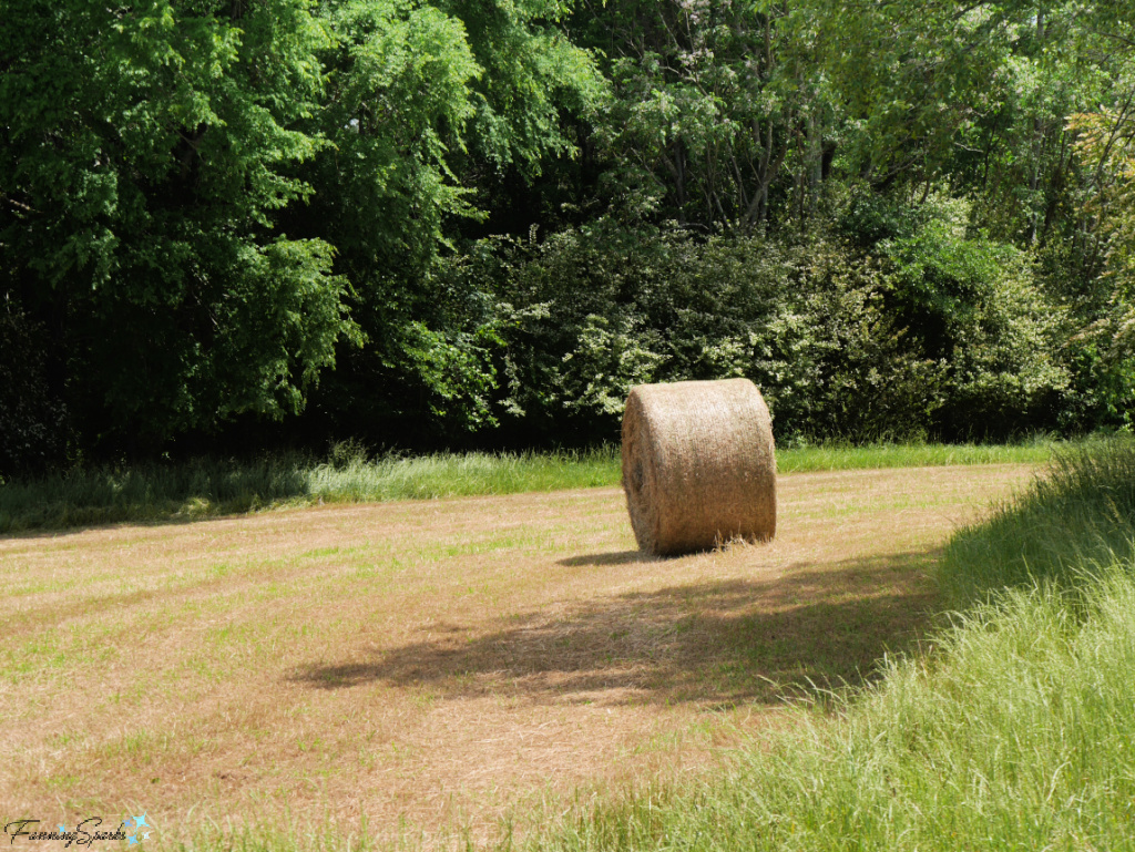 Single Round Bale on Farm Field in Georgia 2   @FanningSparks