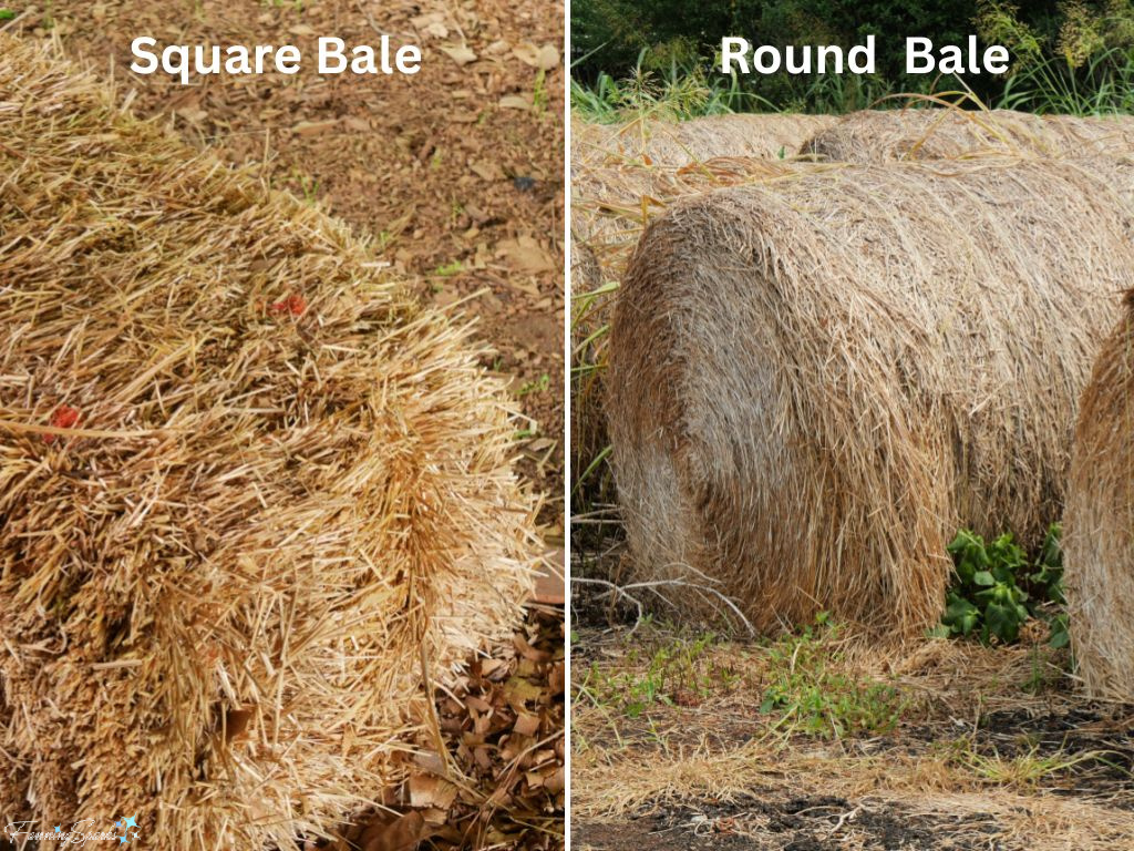 Square and Round Hay Bales   @FanningSparks