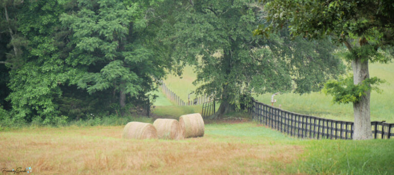 Three Round Bales Beside Fence on Farm Field in Georgia @FanningSparks