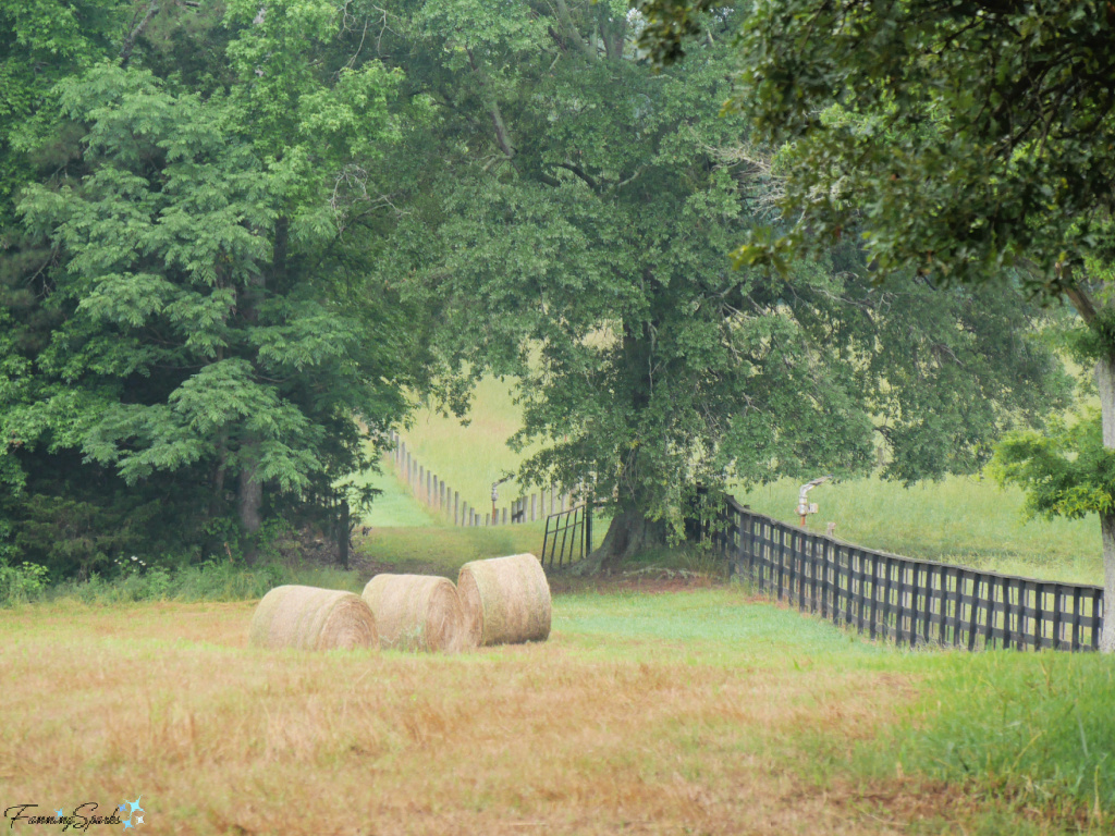 Three Round Bales Beside Fence on Farm Field in Georgia   @FanningSparks