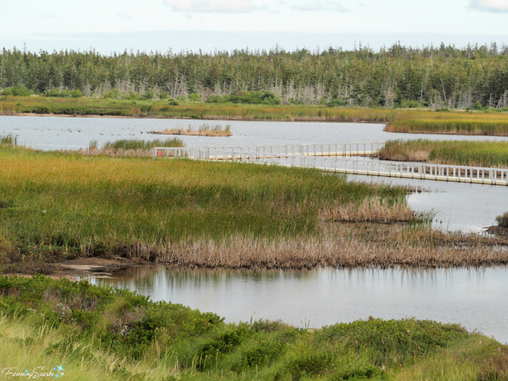 Boardwalk at Greenwich National Park PEI   @FanningSparks