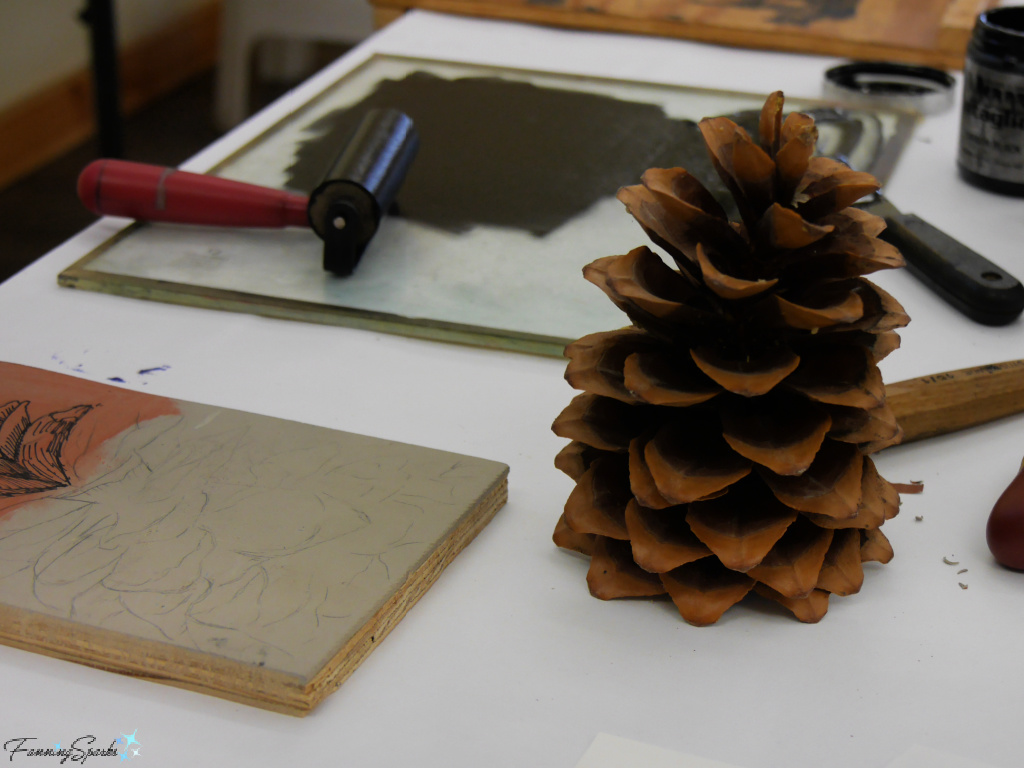 Pine Cone Subject in Donald Martin Demonstration   @FanningSparks