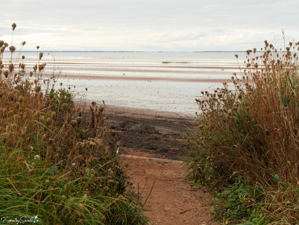 Tea Hill Park Living Shoreline Fall 2024   @FanningSparks