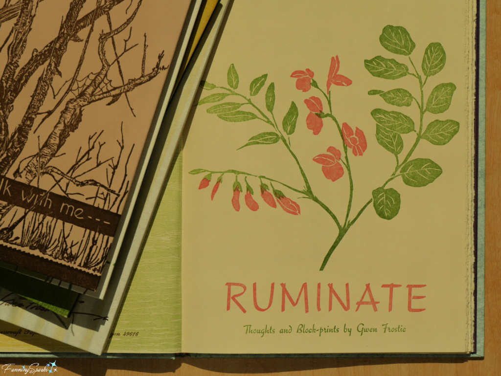 Title Page from Ruminate by Gwen Frostic   @FanningSparks