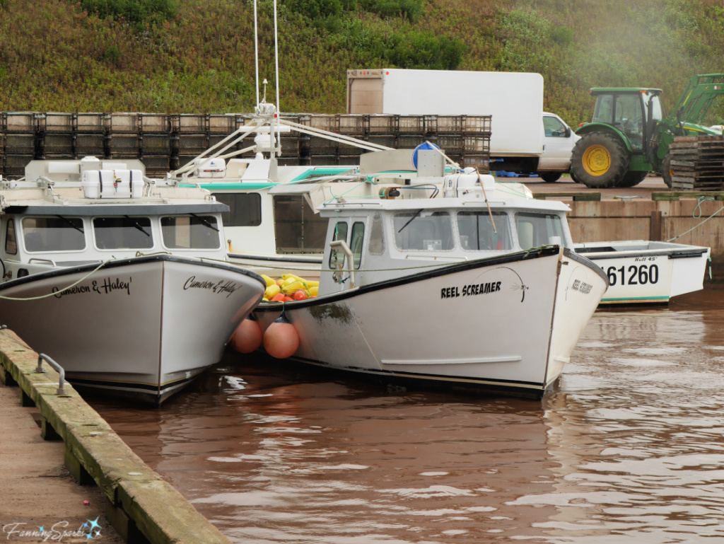 Cameron & Haley I and Reel Screamer in Howards Cove PEI   @FanningSparks