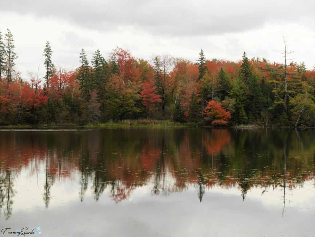 Colored Leaves on Shortts Lake NS  @FanningSparks