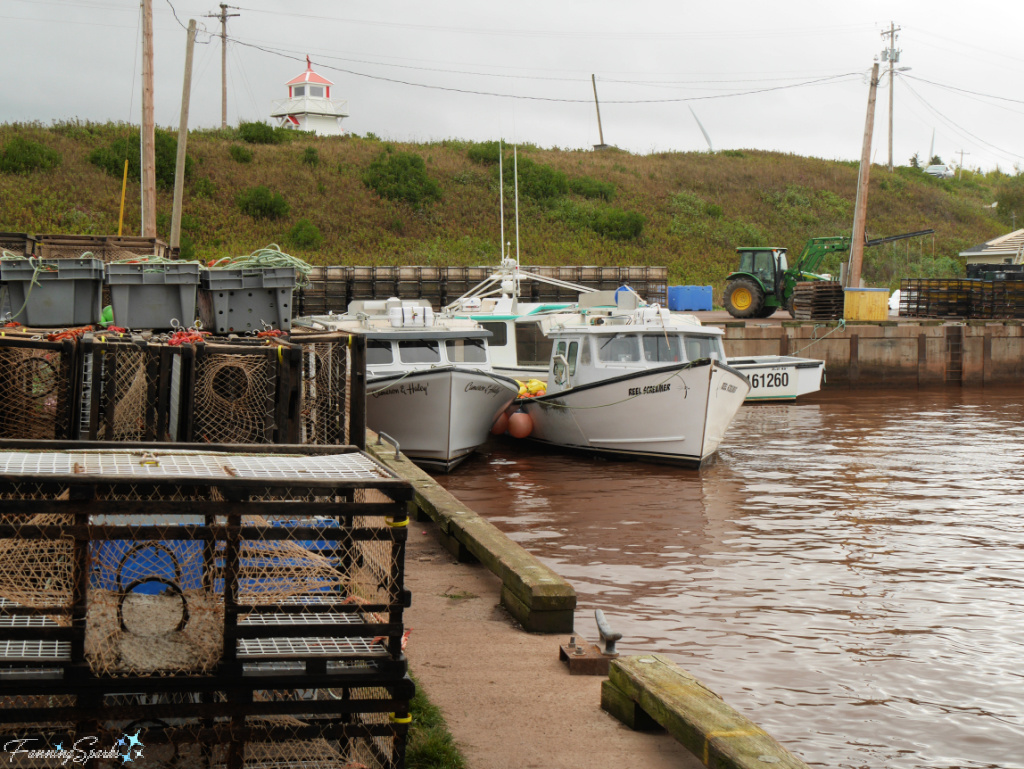 End of Season Activity in Howards Cove PEI   @FanningSparks