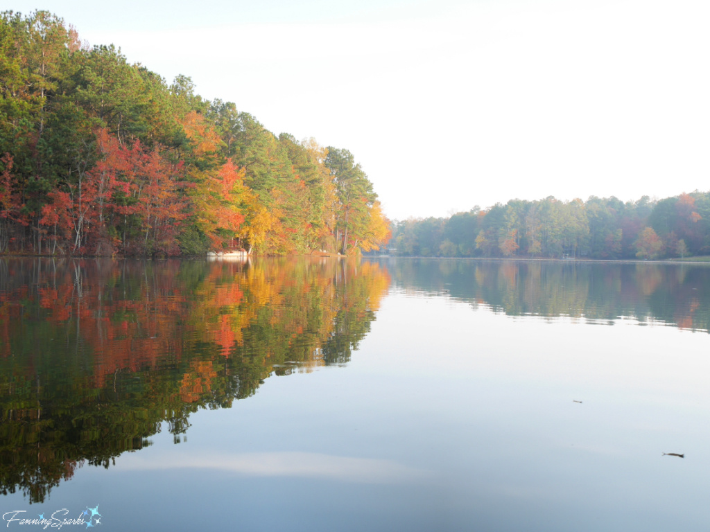 Fall Foliage Reflected in Early Morning Lake in Georgia    @FanningSparks