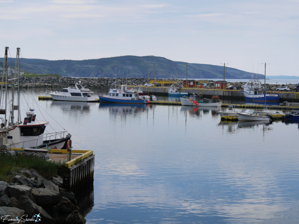 Fishing Harbor in Bonavista Newfoundland  @FanningSparks