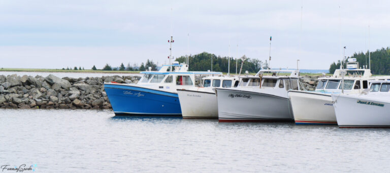 Five Fishing Boats at Caribou NS @FanningSparks