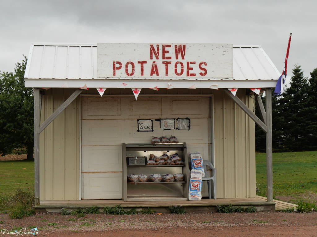 New Potatoes Farm Stand Near Albany Corner PEI @FanningSparks