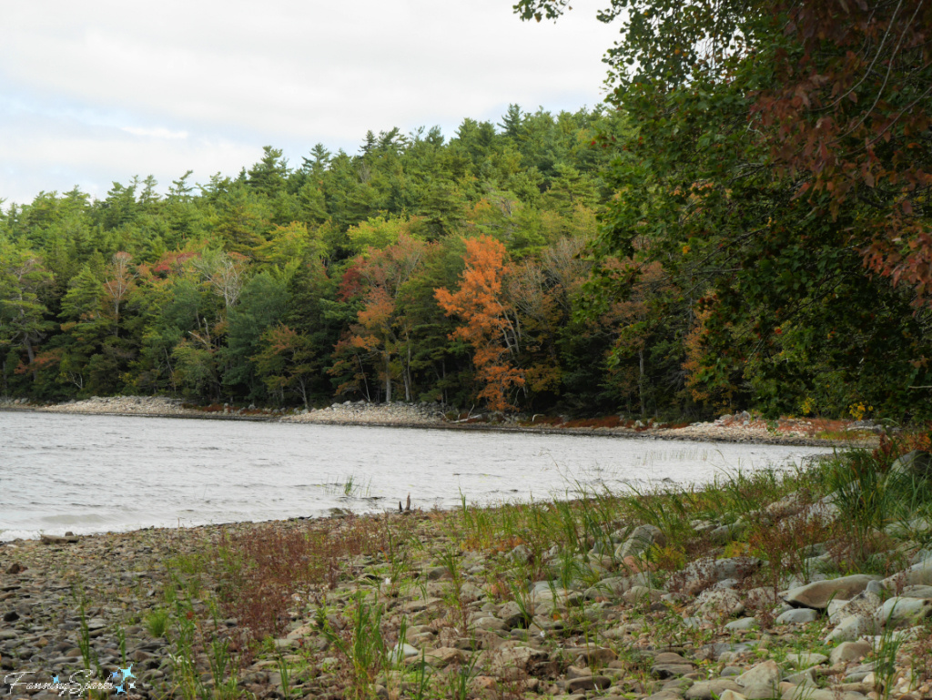 Orange-Colored Trees Along Lake at Oakfield Park   @FanningSparks