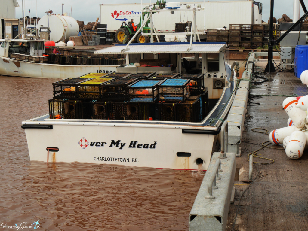 Over My Head in Howards Cove PEI   @FanningSparks