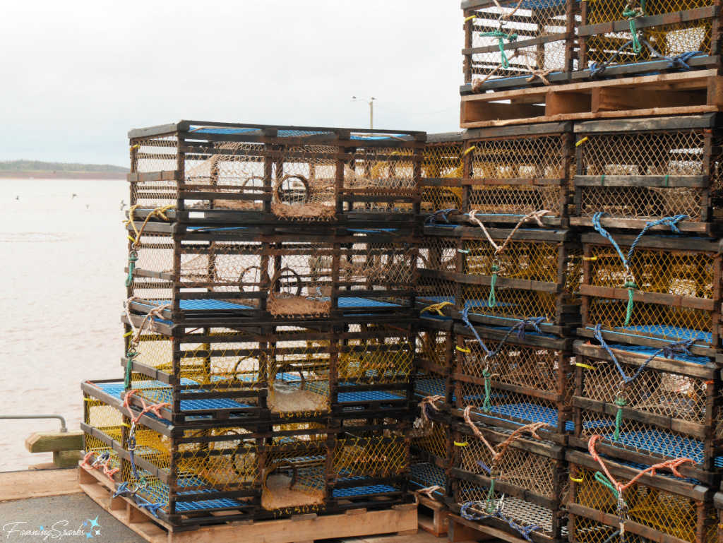 Piled Lobster Traps in Howards Cove PEI   @FanningSparks