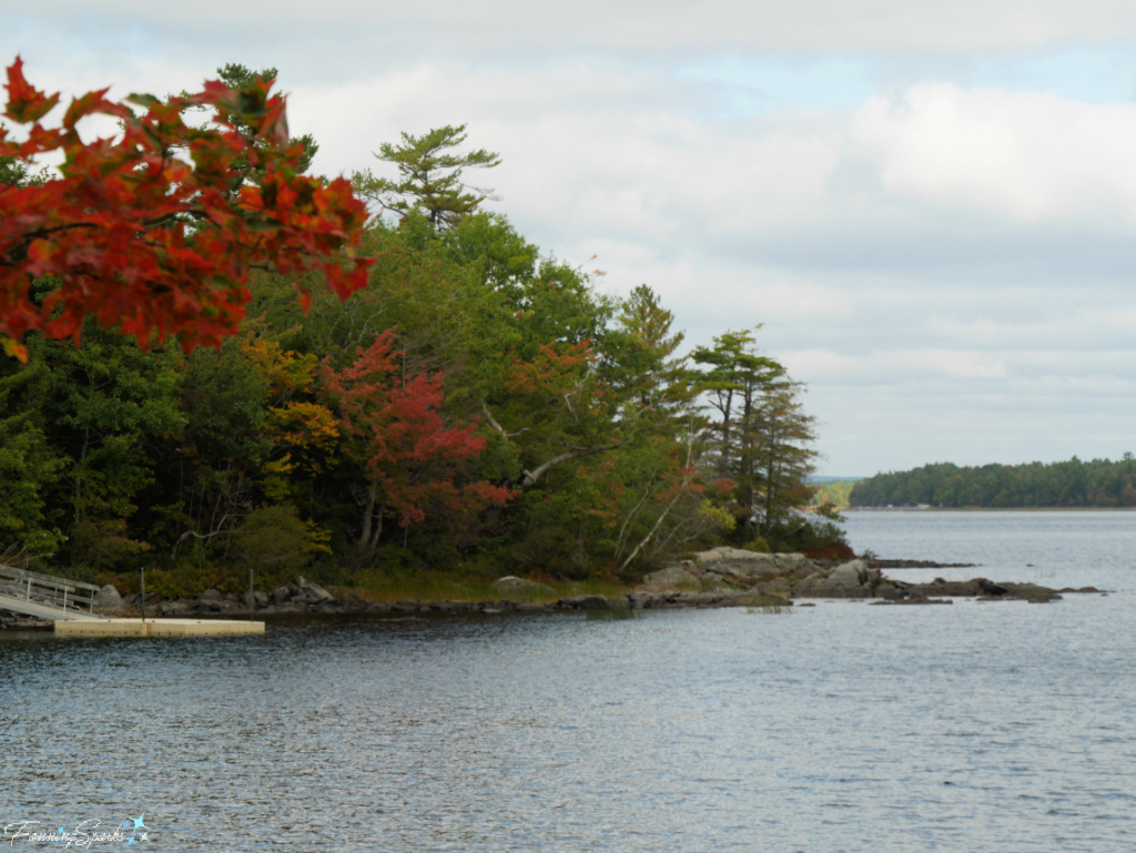 Red Maples along Lake at Oakfield Park    @FanningSparks