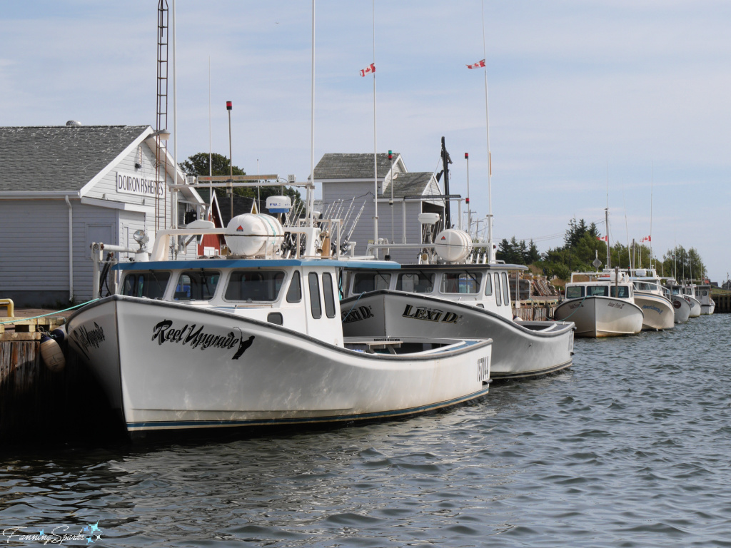 Reel Upgrade and Lexi D I in North Rustico PEI   @FanningSparks