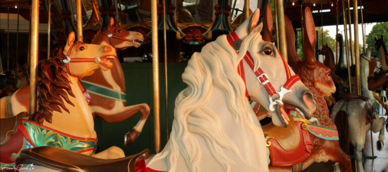 White Horse with Flowing Mane on Burlington Park Carousel in Burlington NC @FanningSparks