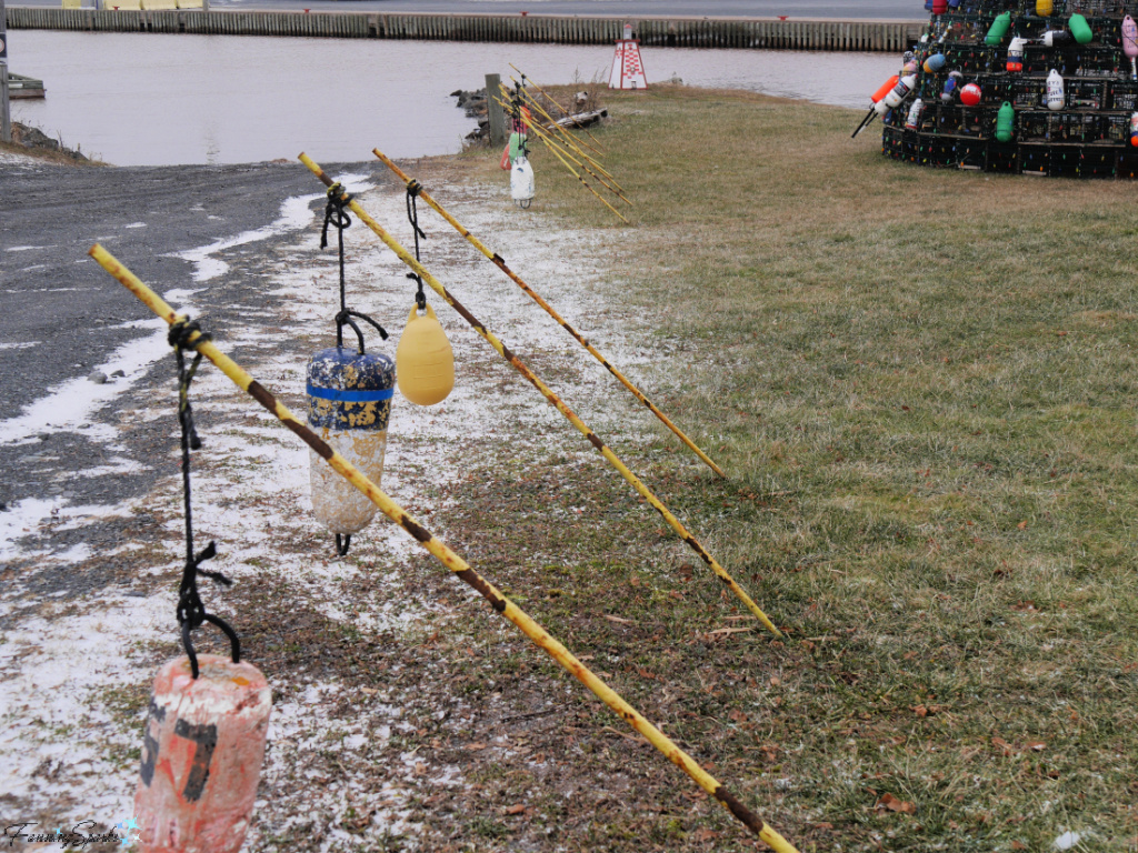 Buoys Along Drive at Toney River Lobster Trap Christmas Tree   @FanningSparks