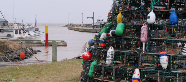 Toney River Lobster Trap Christmas Tree Beside Harbor @FanningSparks