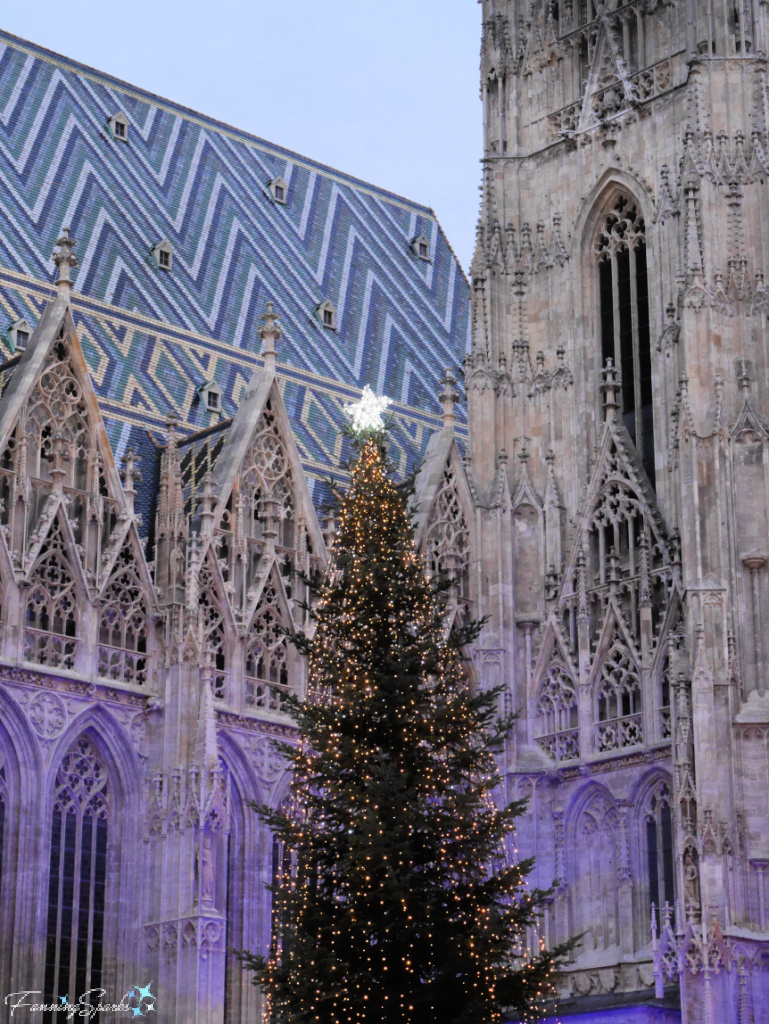 Christmas Tree at St. Stephen's Cathedral in Vienna Austria   @FanningSparks