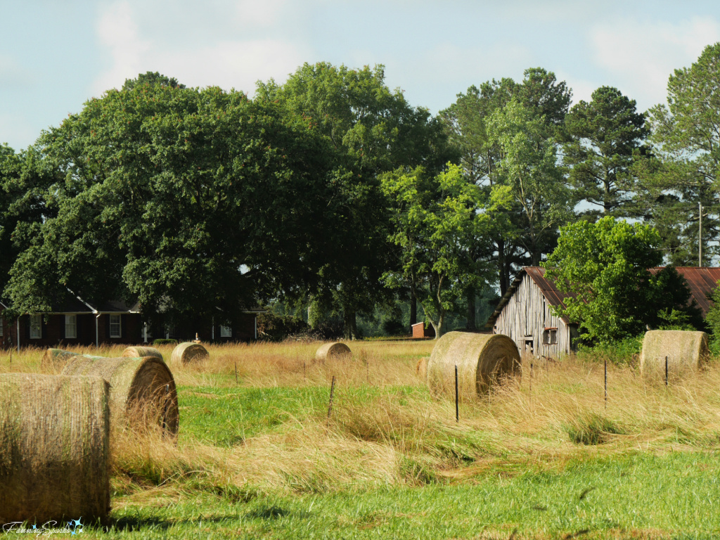 Hay Bales and Old Outbuilding in Newborn Georgia   @FanningSparks