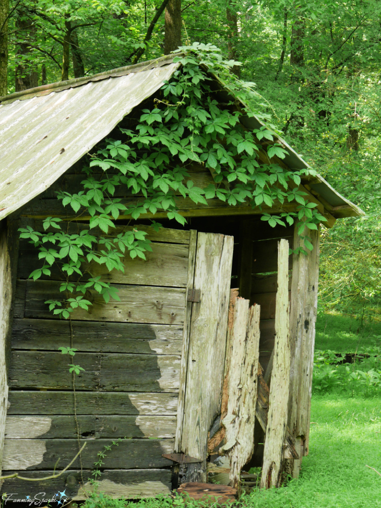 Vine Covered Outbuilding at Shields-Ethridge Heritage Farm Georgia   @FanningSparks