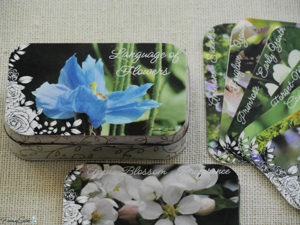 Language of Flowers Mini Cards with Closed Decorated Box   @FanningSparks