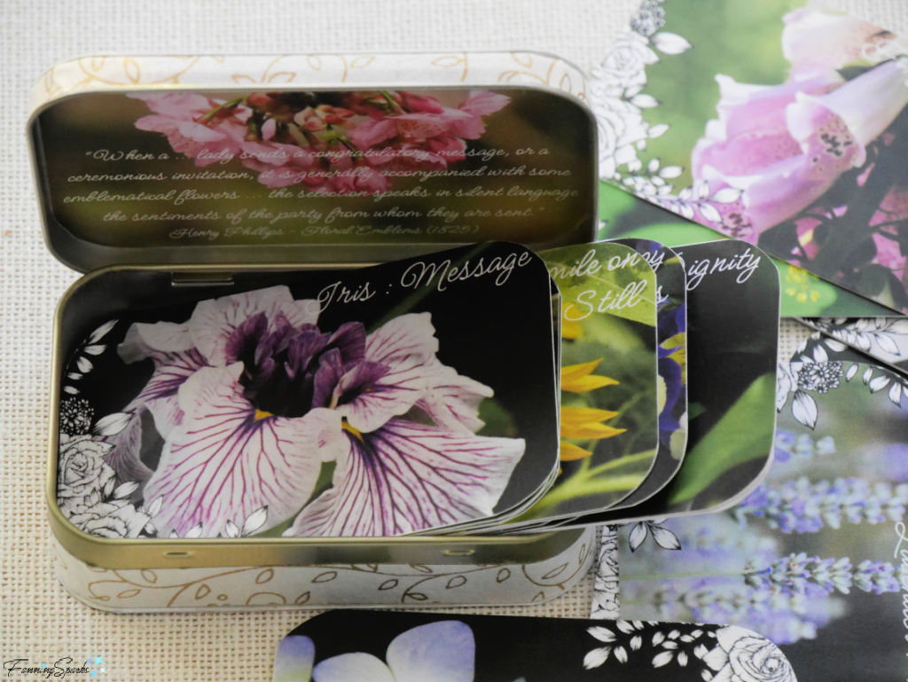 Language of Flowers Mini Cards with Open Decorated Box   @FanningSparks