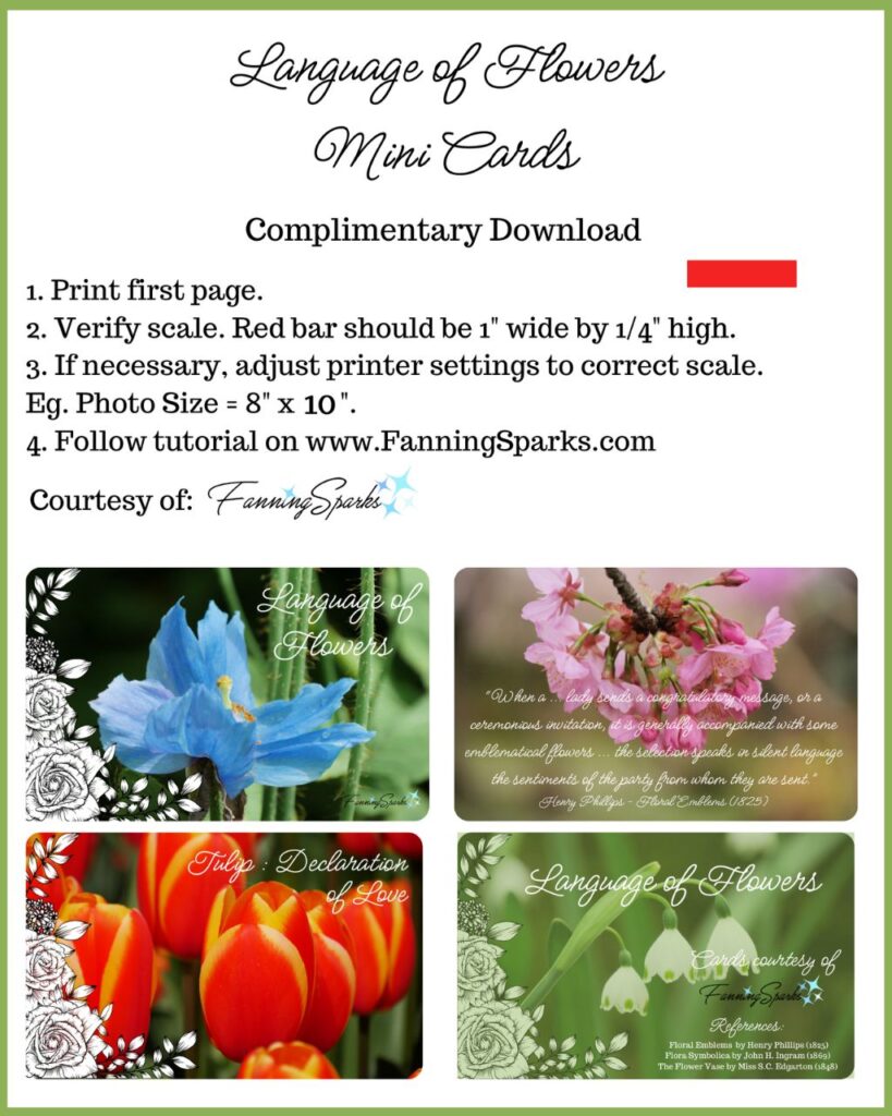 Page 1 of Language of Flowers Mini Cards - Complimentary Download