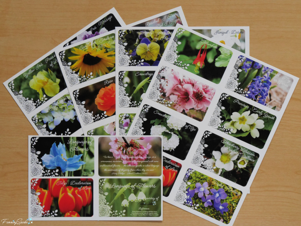 Printing Language of Flowers Mini Cards   @FanningSparks