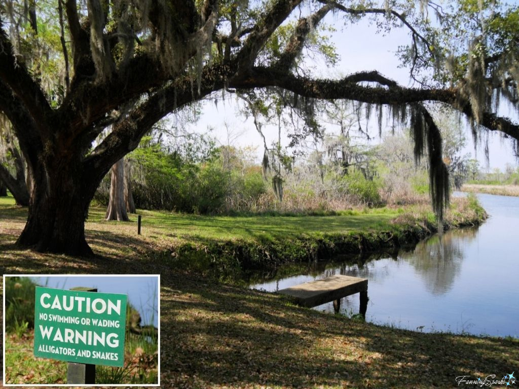 Alligators Sign at Brookgreen Gardens South Carolina   @FanningSparks