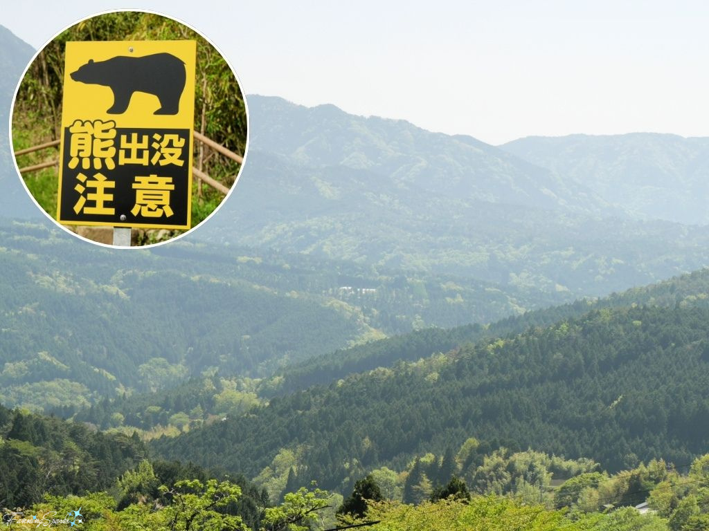 Bear Hazard Sign Along Nakasendo Trail Japan   @FanningSparks