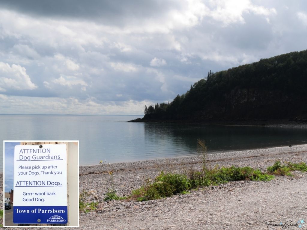 Dog Guardians Sign in Parrsboro Nova Scotia   @FanningSparks