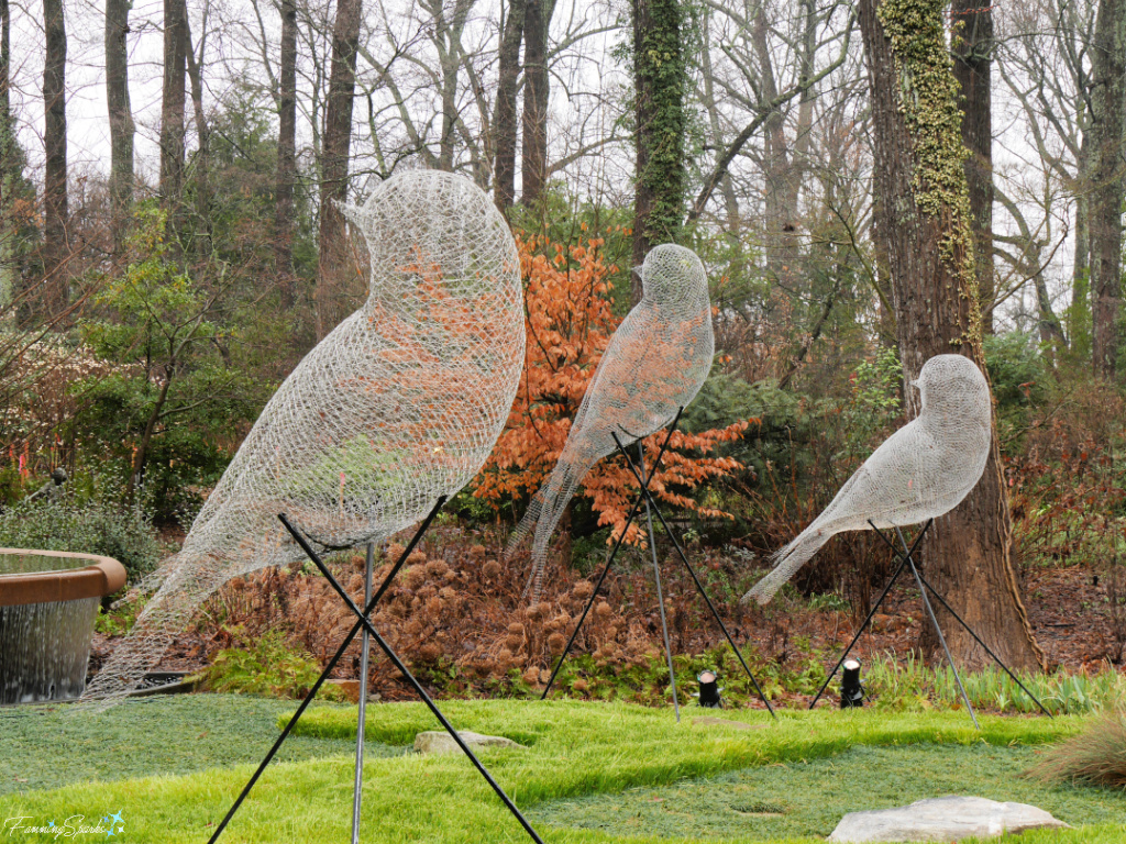 Luminous Wire Birds by Cédric Le Borgne at Atlanta Botanical Garden   @FanningSparks