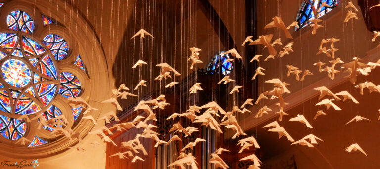 Sanctuary Doves With Rose Window at Peachtree Road United Methodist Church in Atlanta @FanningSparks