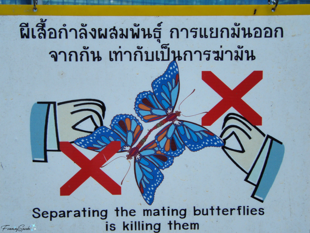 Separating Butterflies Sign in Phuket Thailand   @FanningSparks