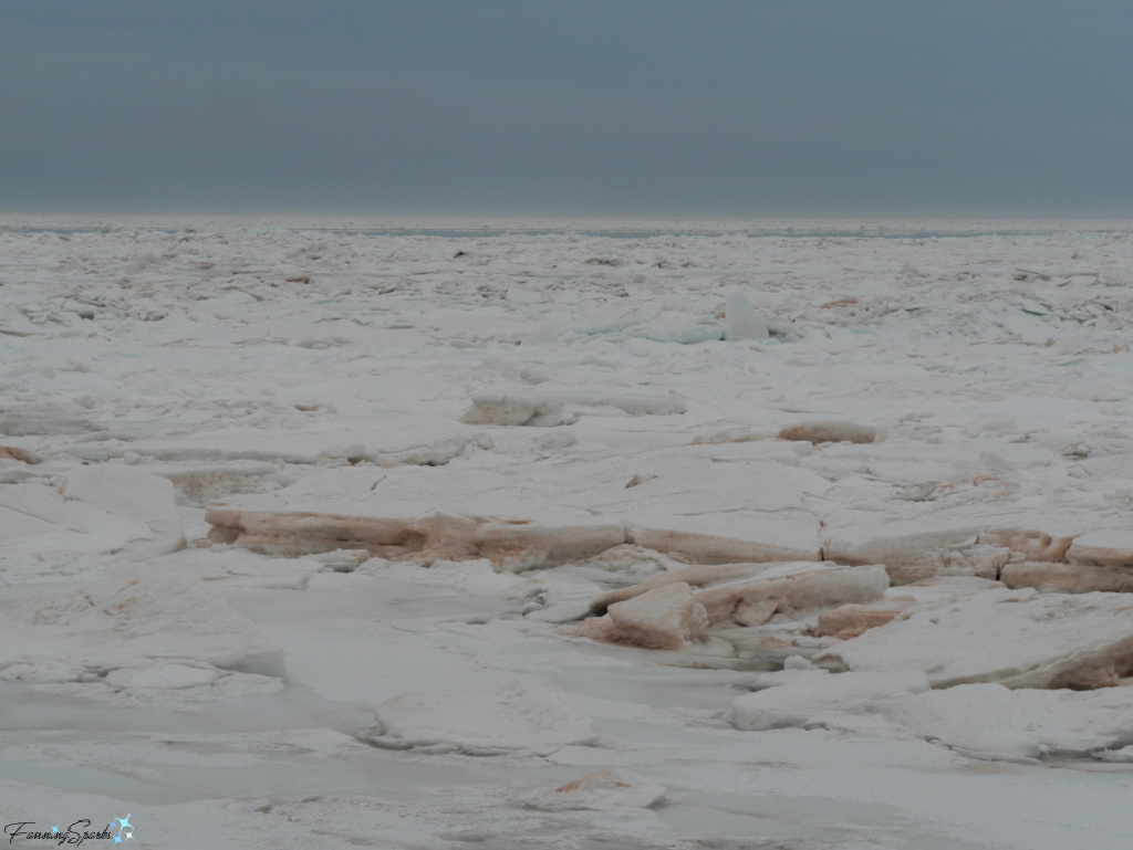 Ice-Filled Northumberland Strait Viewed From Point Prim PEI   @FanningSparks