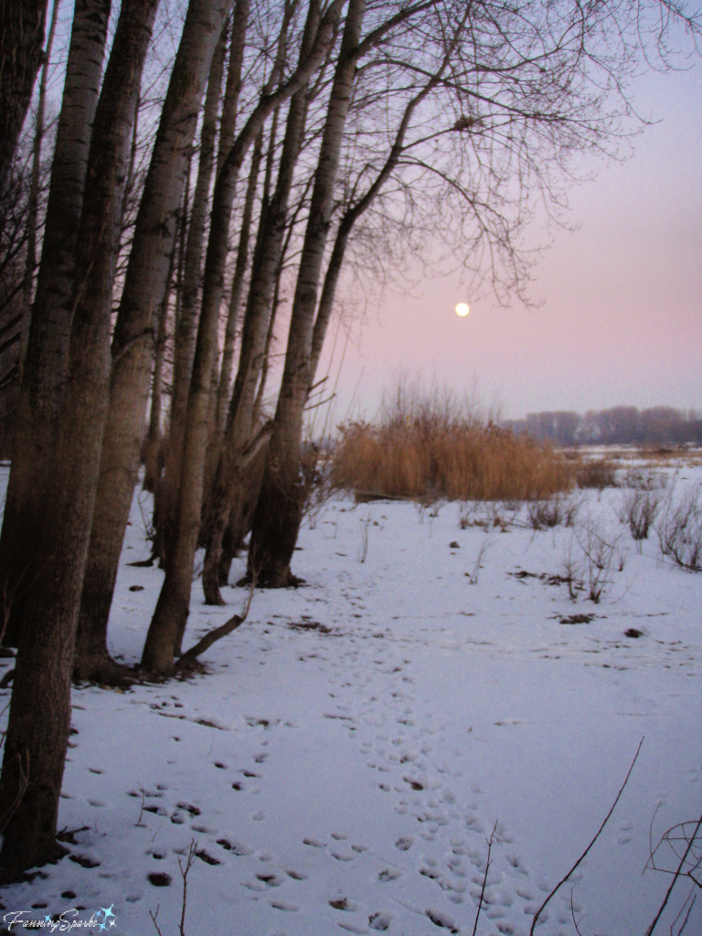 Pastel Skies Along Rhine River in Weiss Germany   @FanningSparks