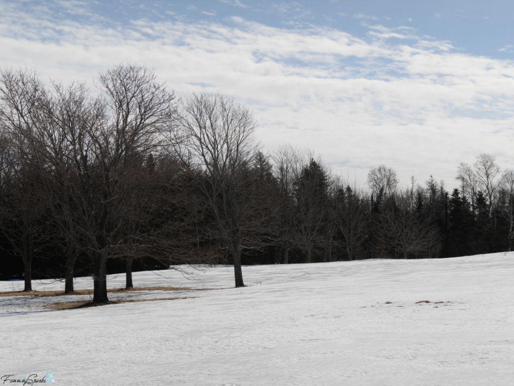 Snow-Covered Field at Fort Amherst PEI   @FanningSparks