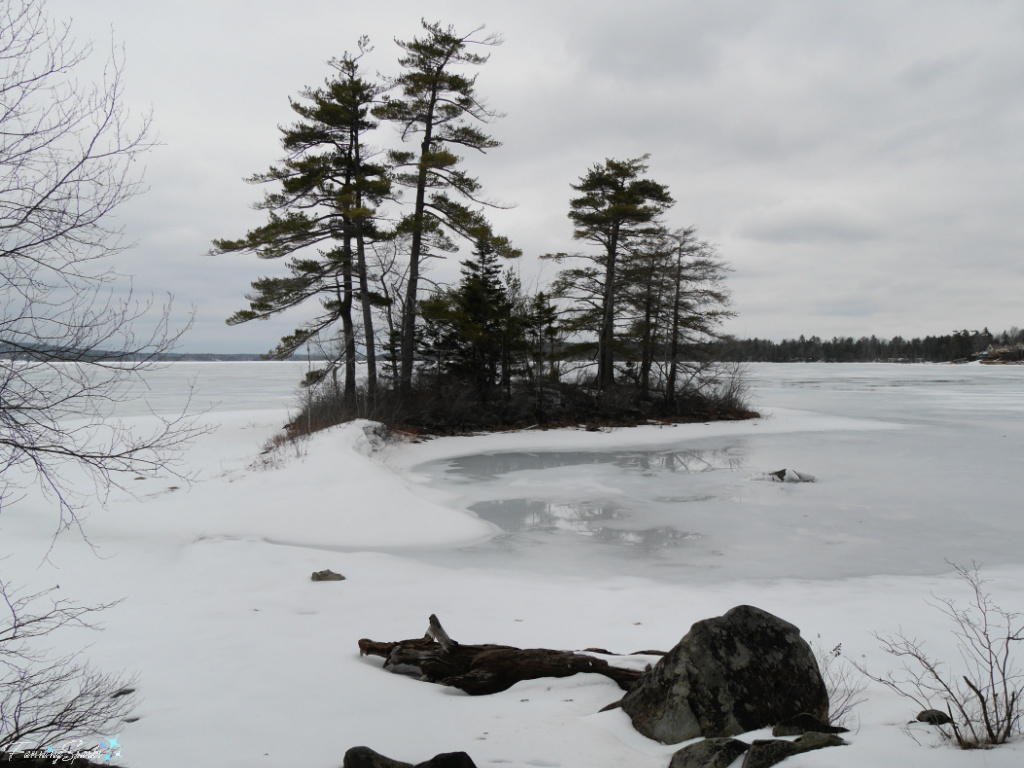 Snow-Covered Island at Oakfield Park Nova Scotia   @FanningSparks