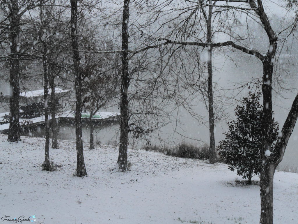 Snow Falling on Dock in Lake Oconee Georgia   @FanningSparks