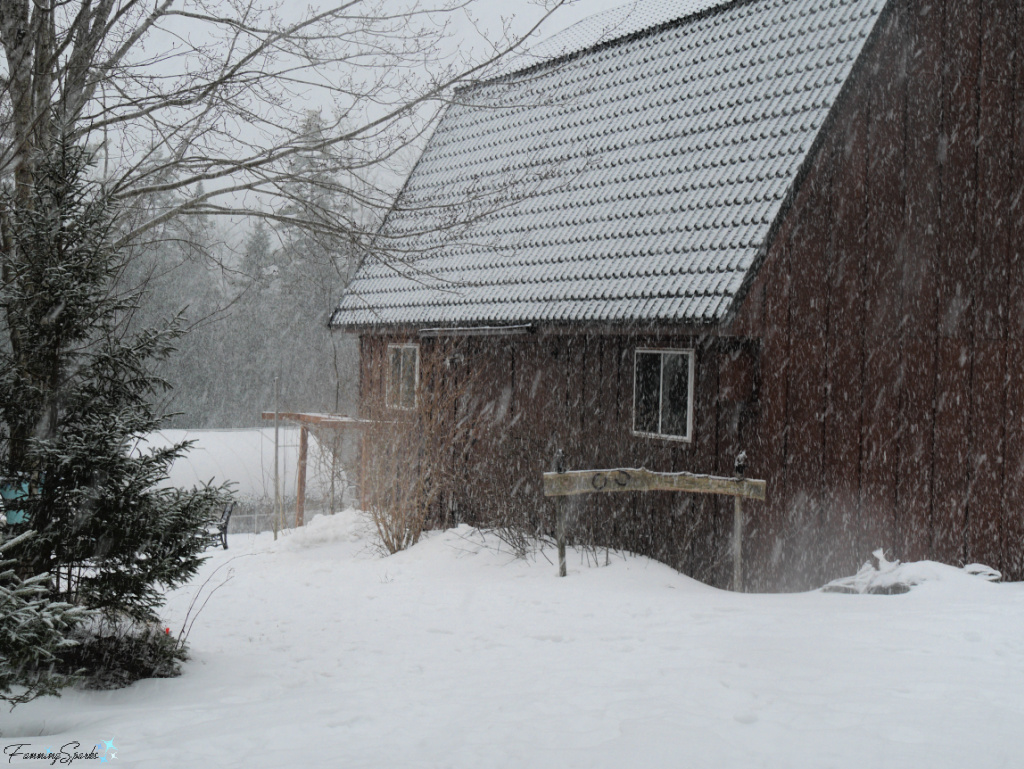 Snow Falling on Red Barn in Oakfield Nova Scotia   @FanningSparks