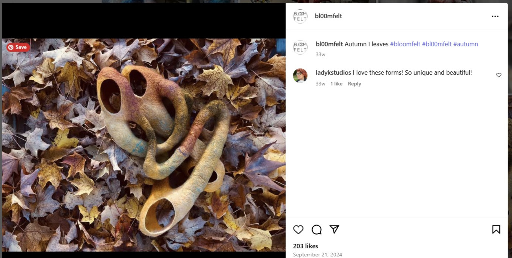 Autumn I Leaves by Marjolein Dallinga – from Instagram