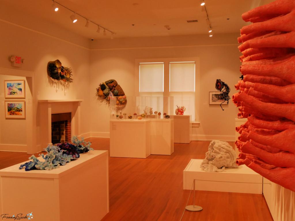 Intricate Oceans Exhibition at Coastal Discovery Museum on Hilton Head Island South Carolina   @FanningSparks