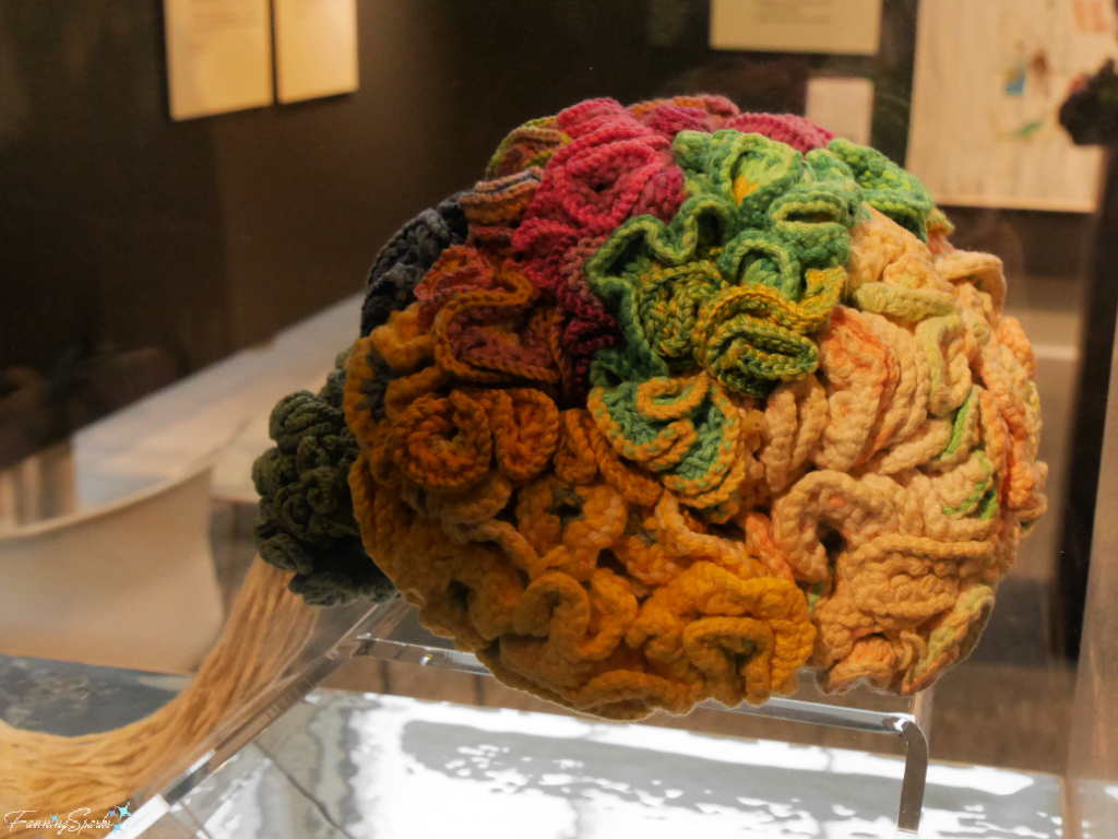 Knitted Brain KB1 by Dr Karen Norberg at Museum of Design Atlanta   @FanningSparks