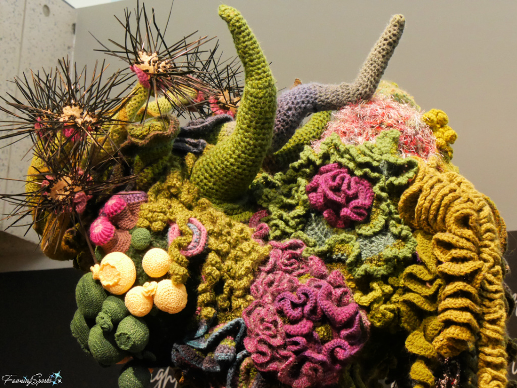 MEDUSA in Institute for Figuring Crochet Coral Reef at Museum of Design Atlanta   @FanningSparks